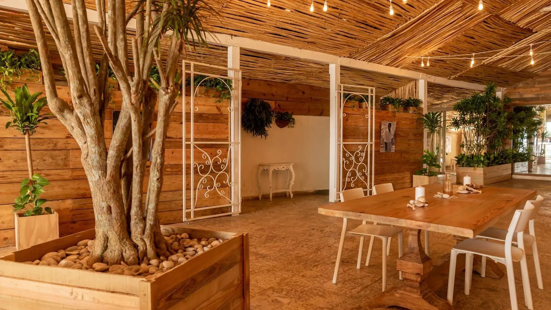 Spectacular Beach Penthouse With Ocean Views プンタ・カナ